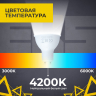 Лампа EKS MR16, GU10, 10 Вт, 850ЛМ, 4200K - 8 штук