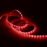 Светодиодная лента Gauss Elementary 12В, 4,8 Вт/м, 210ЛМ/м, IP66, 5 метров, красный свет